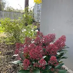 La Maison Vintage A Montreuil Sur 3 - Jardin - 6 Personnes - Wifi Tatil Evi Neuville-sous-Montreuil