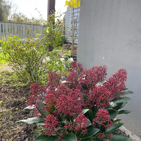 La Maison Vintage A Montreuil Sur 3 - Jardin - 6 Personnes - Wifi Vakantiehuis Neuville-sous-Montreuil