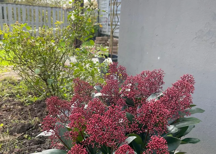 La Maison Vintage A Montreuil Sur 3 - Jardin - 6 Personnes - Wifi 펜션 Neuville-sous-Montreuil